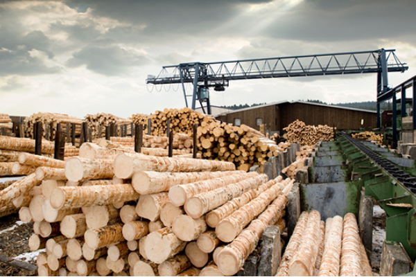 Предприятиям лесопромышленного комплекса расскажут о возможностях экспорта